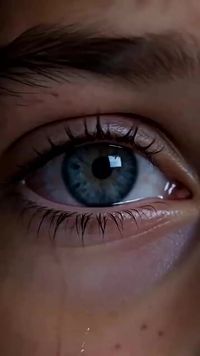Episódio 11