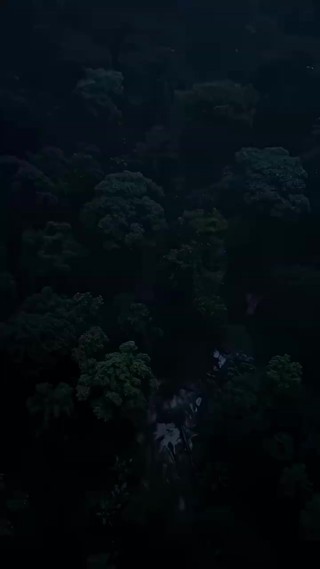 Episode 24