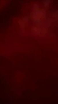 Episódio 29