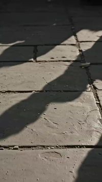 Épisode 18