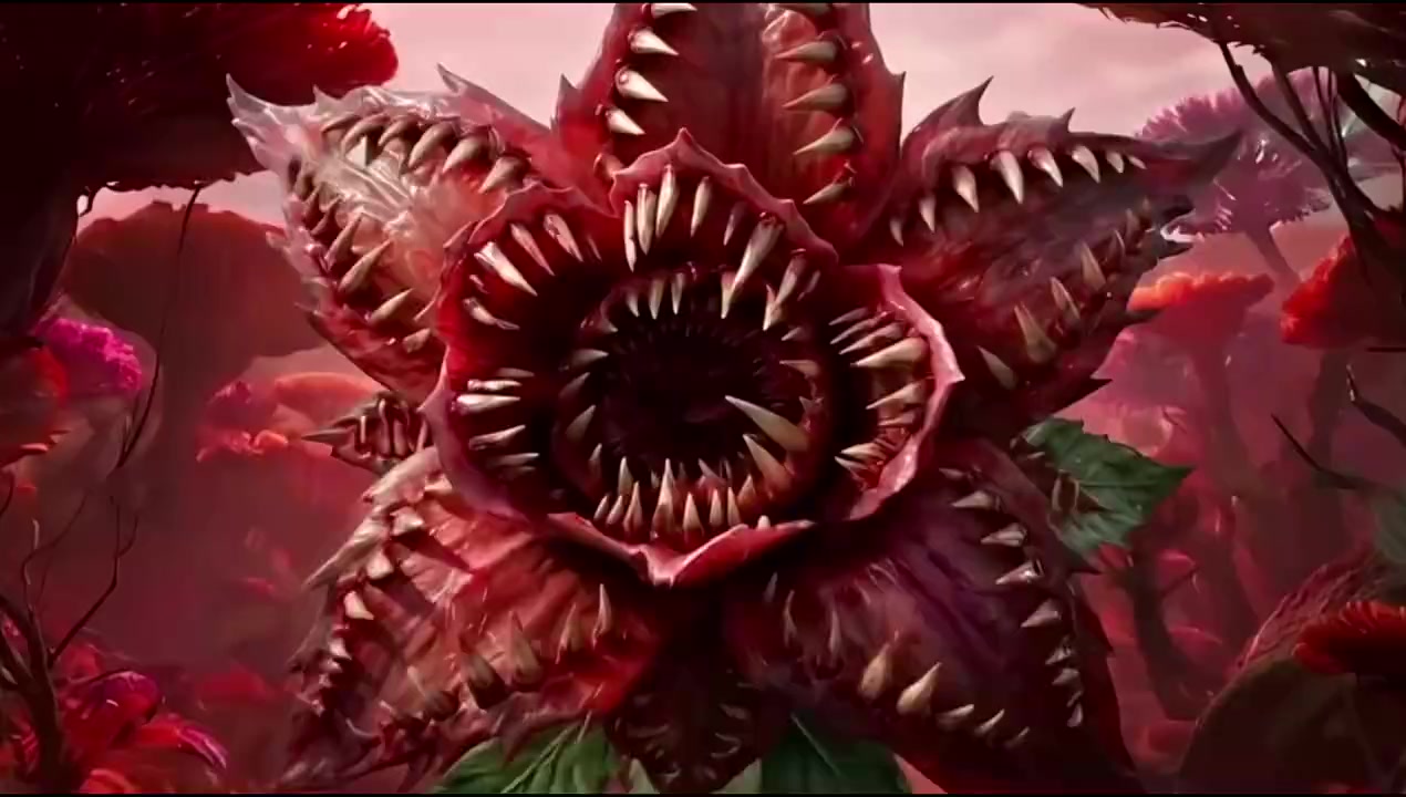 Episode 14