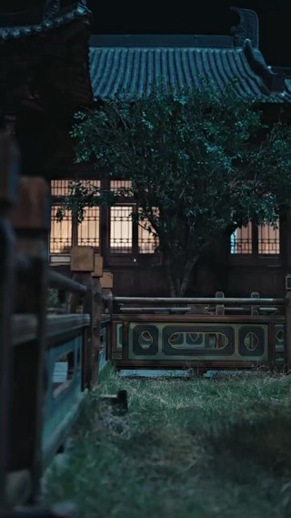 Épisode 29