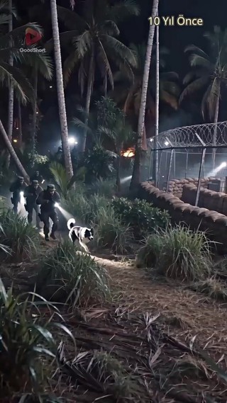 Episode 10