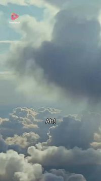 Bölüm 8