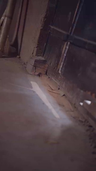 Episode 28