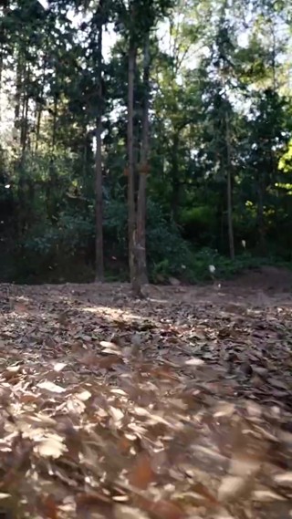 Episódio 12