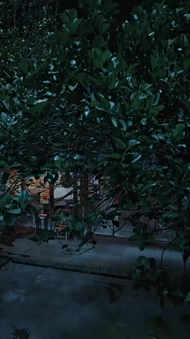 Episode 29