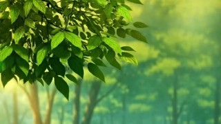 ตอนที่ 22