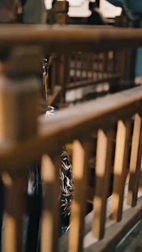 ตอนที่ 4