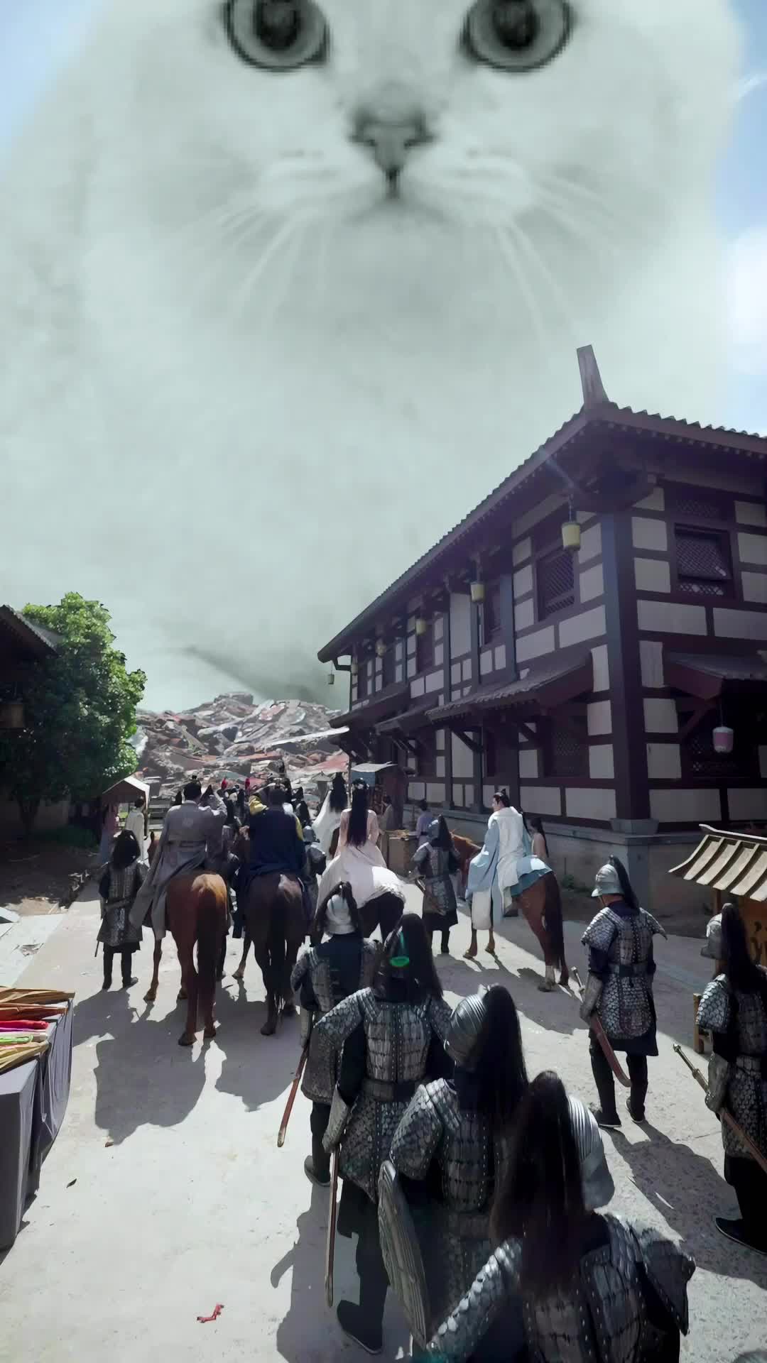 Episode 20