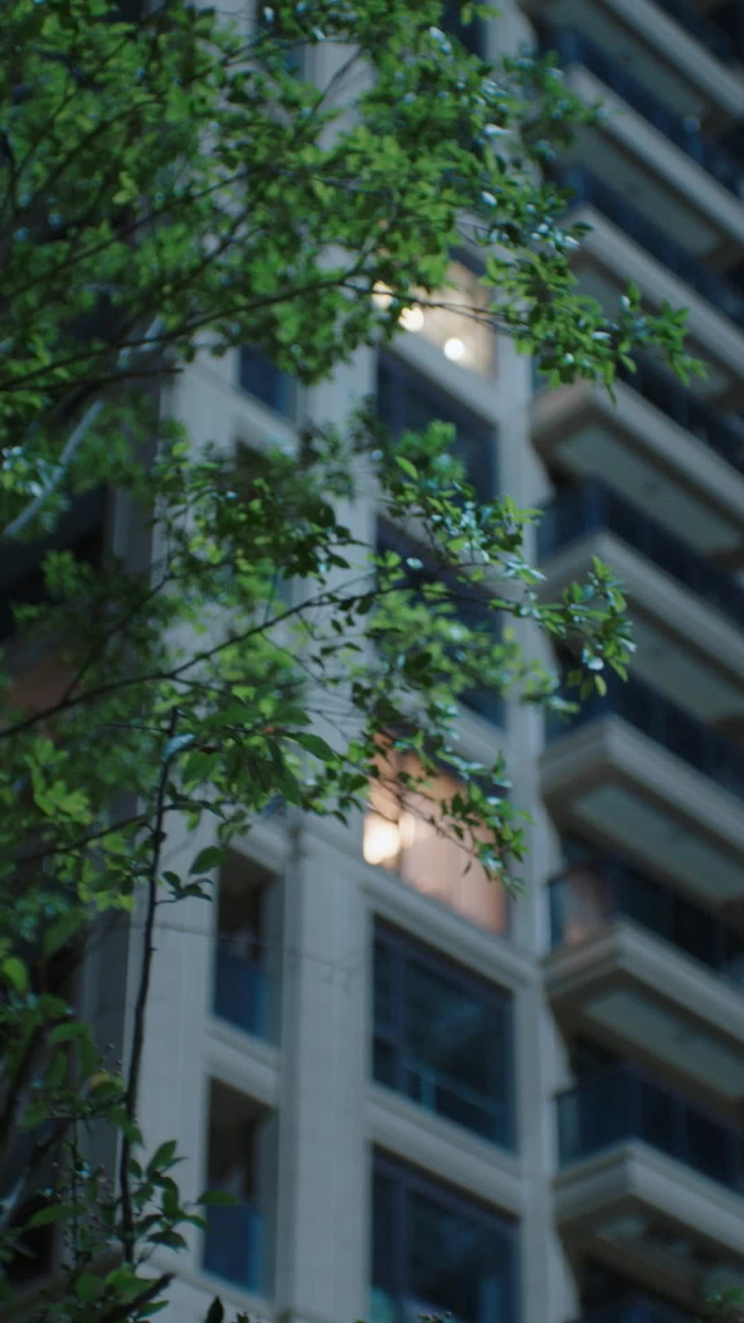 Episode 28
