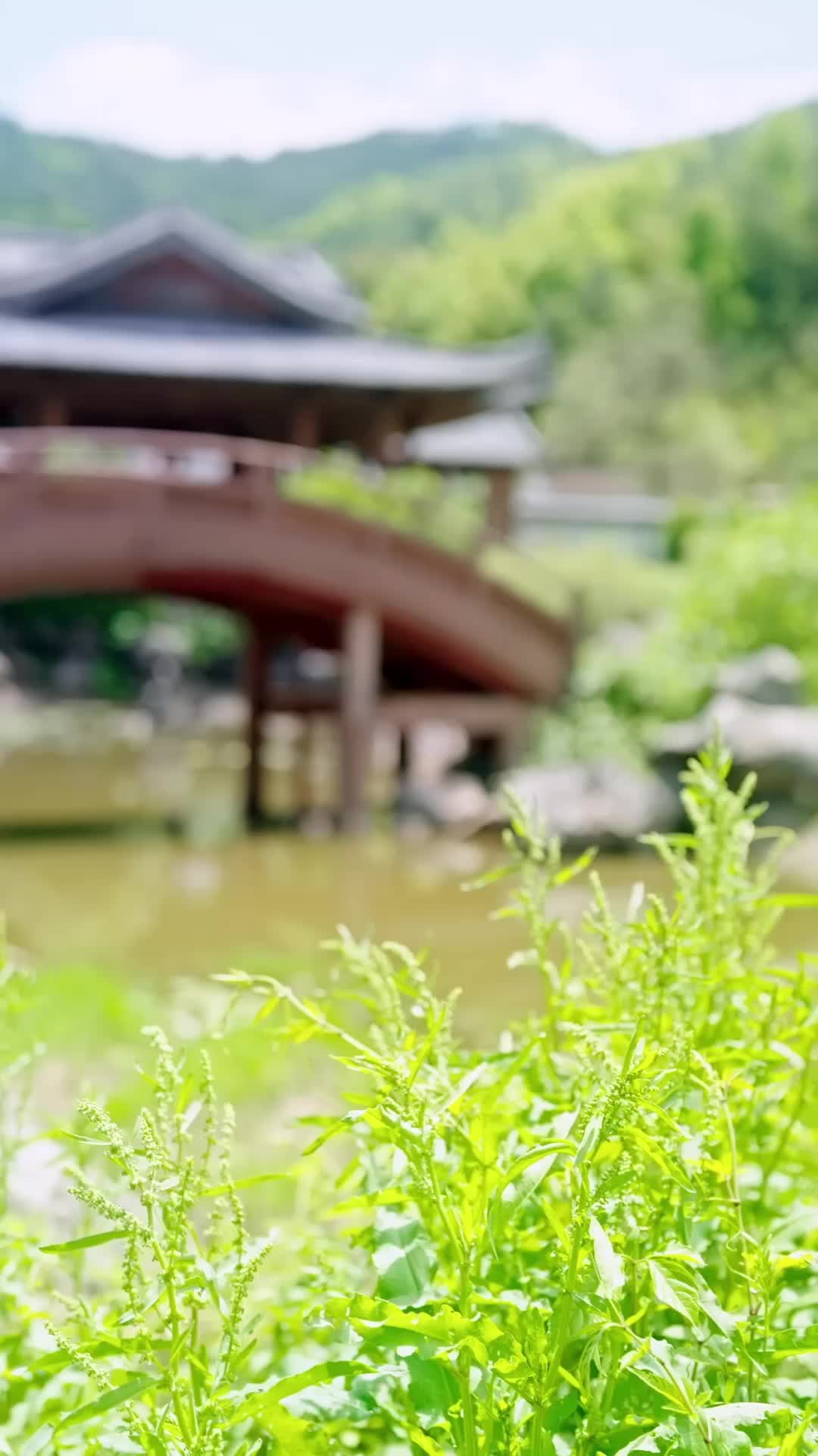 Episode 29