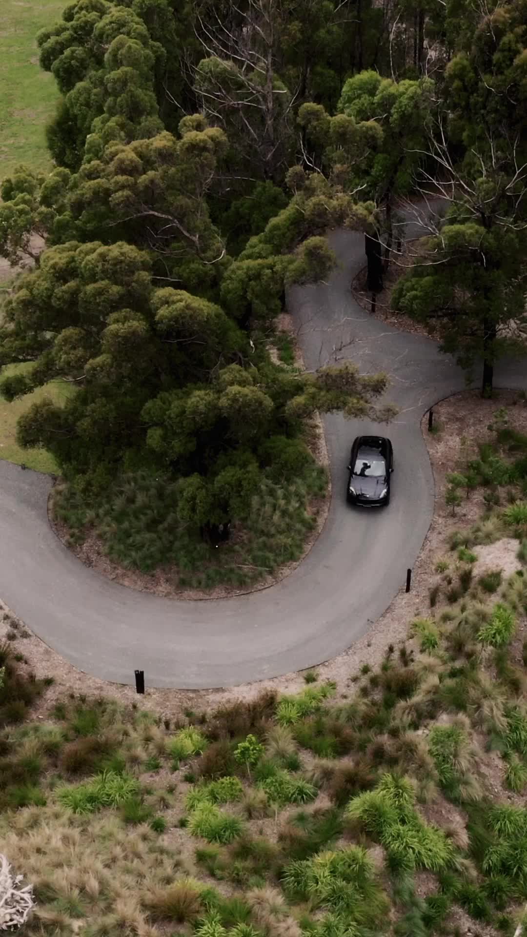 Episodio 8