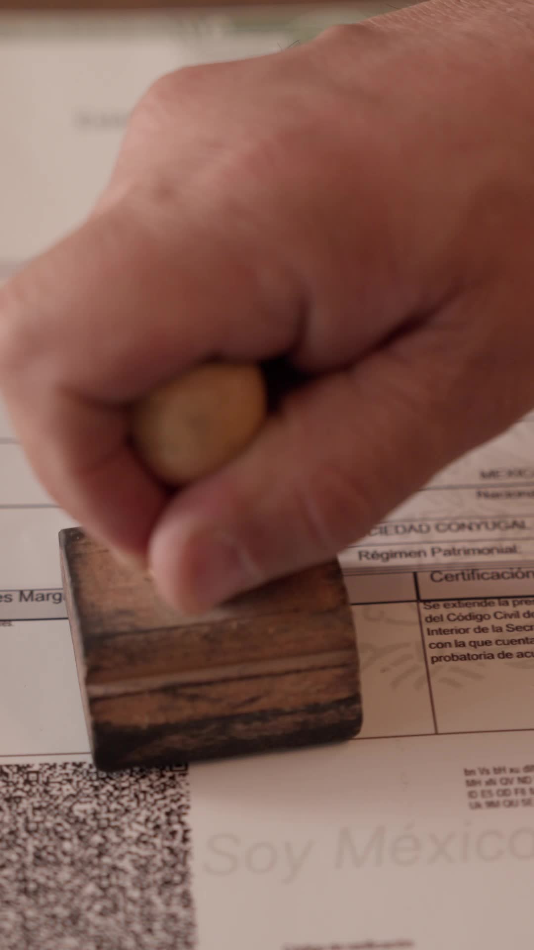 Episodio 7
