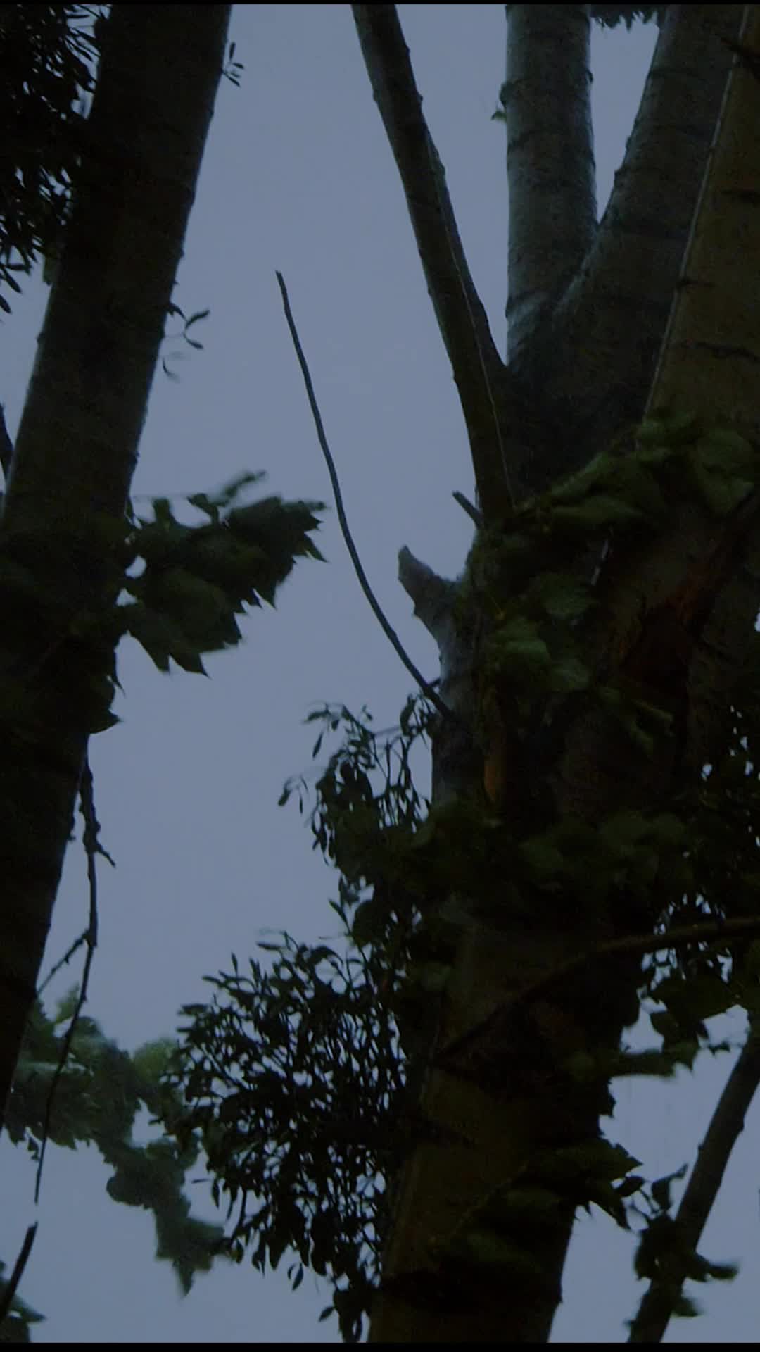 Episod 6