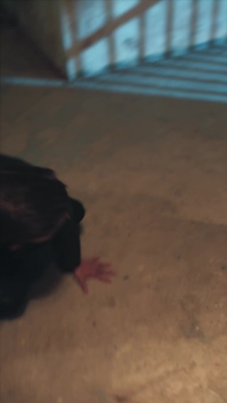 Episode 16