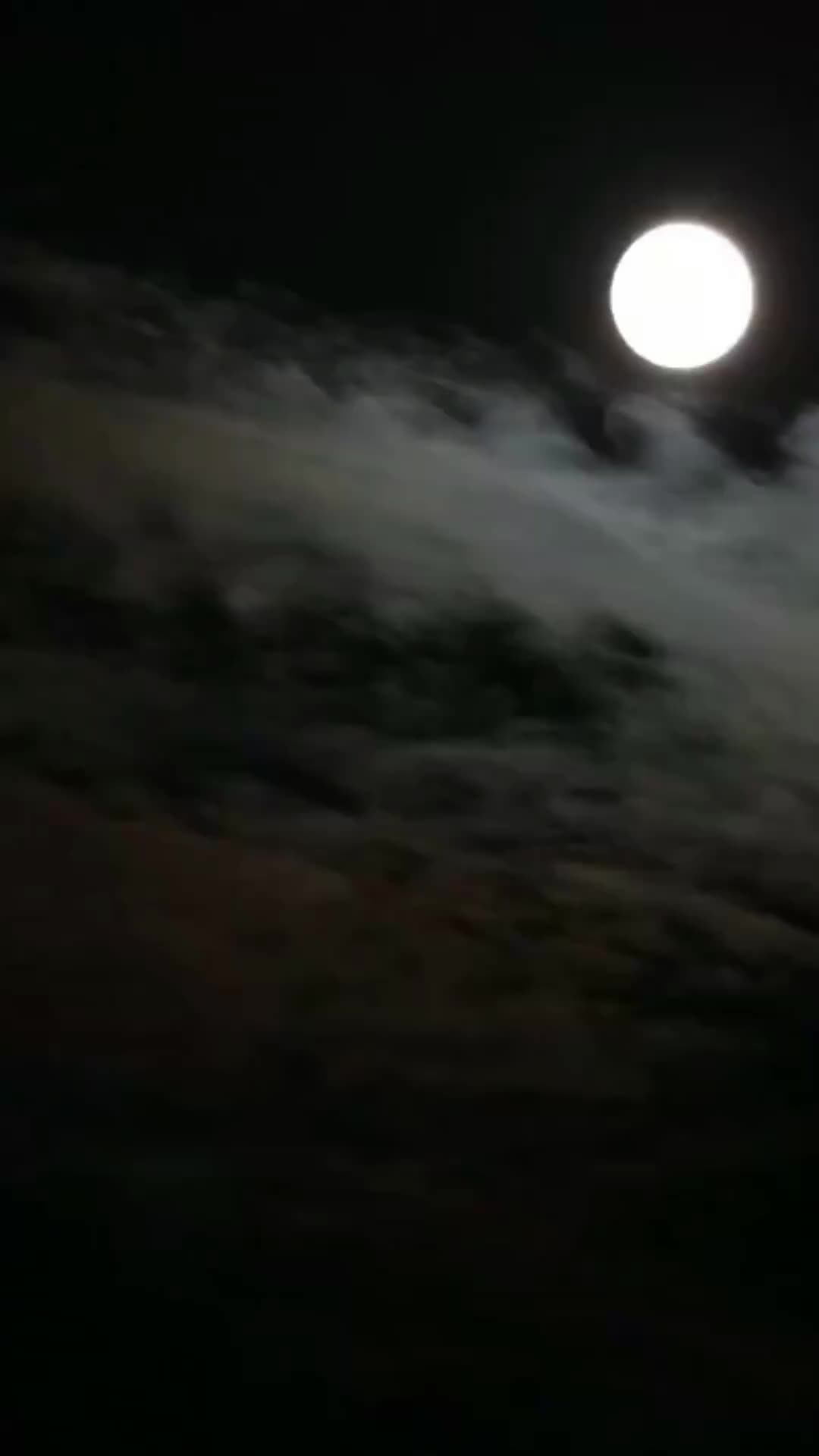 Épisode 29