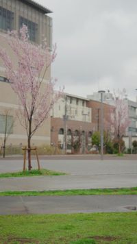話 29