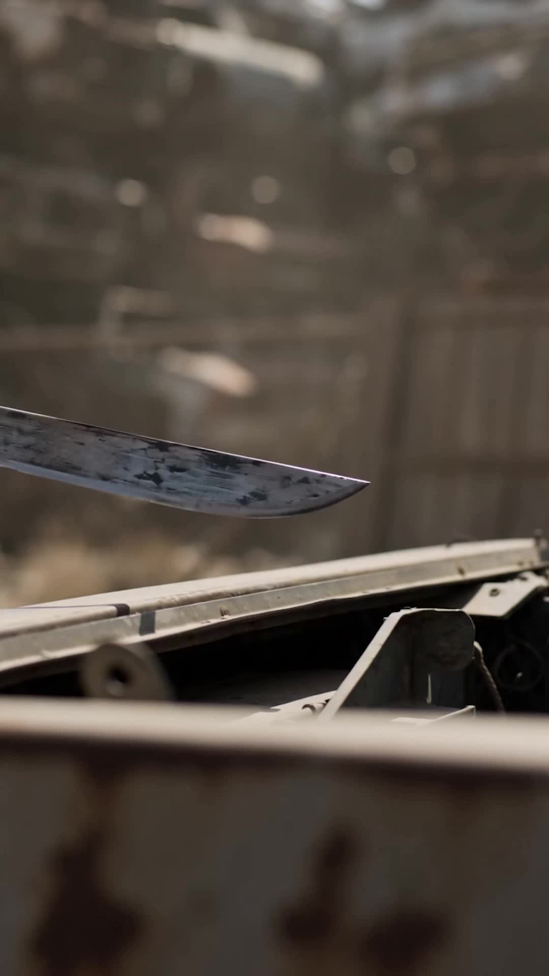 Episodio 13