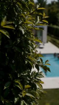 Episódio 1