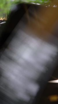 Episódio 19