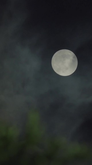 ตอนที่ 24