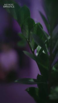 話 9