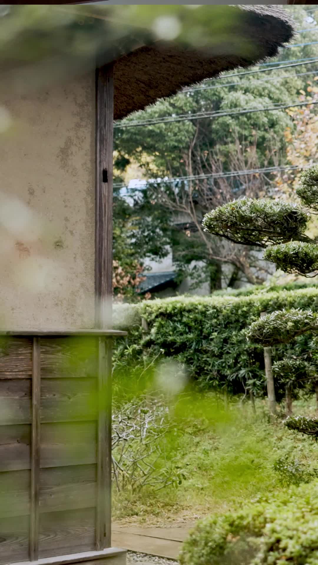 話 7