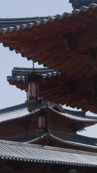 話 5