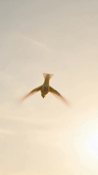 Episódio 25