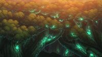 Episode 29