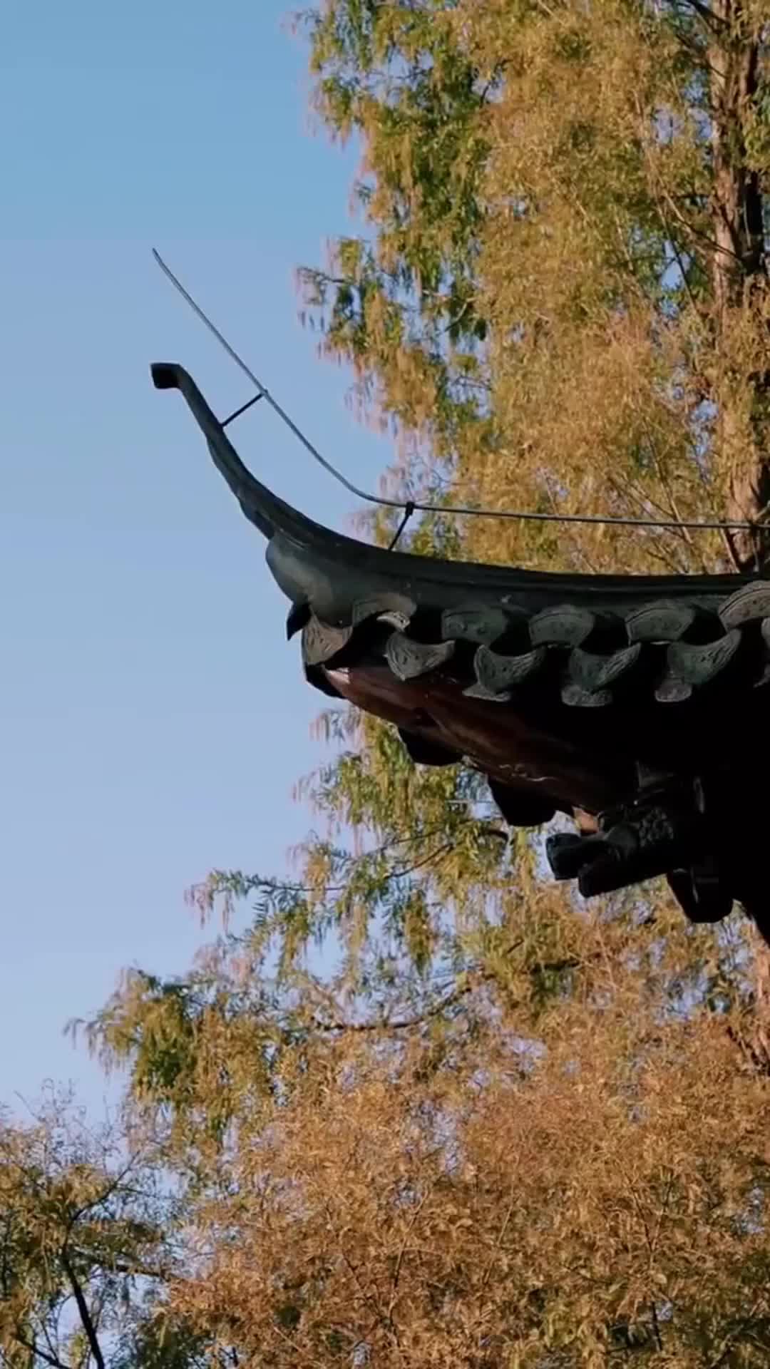 Episode 26