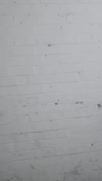 Episodio 29