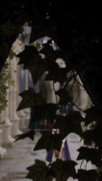 Episode 18