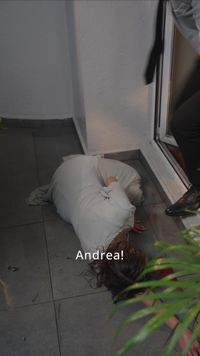 Épisode 29