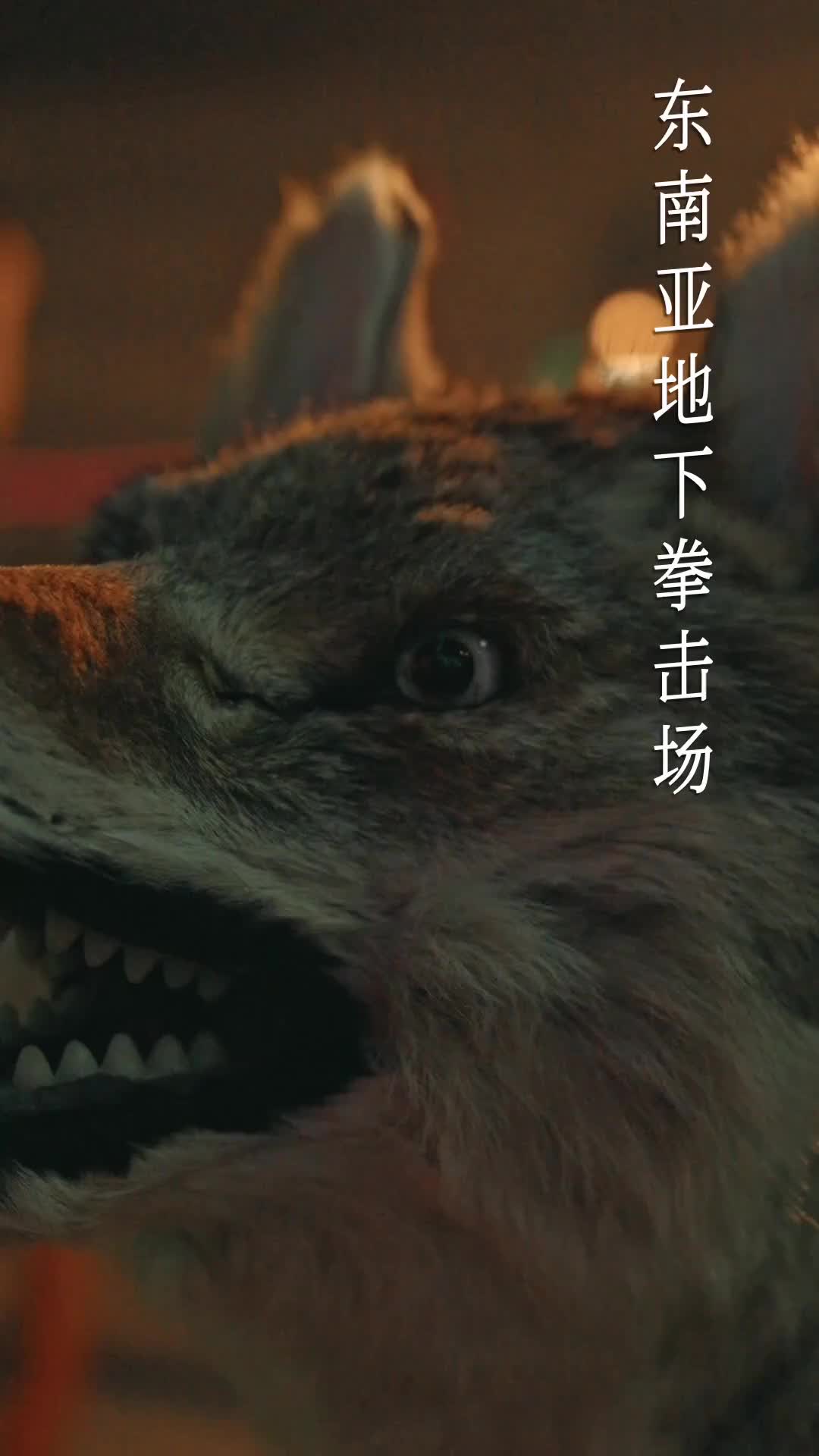 Épisode 1