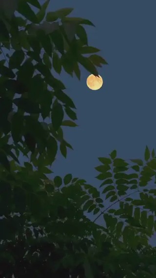 حلقة 2