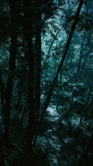 Episodio 13