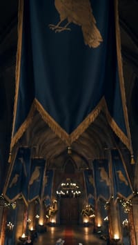 Episod 24