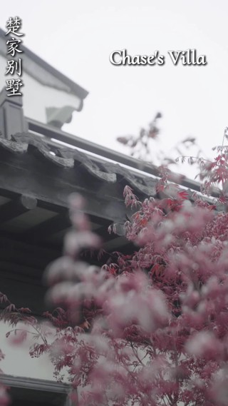 話 26