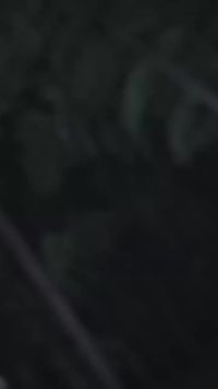 Episode 28