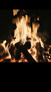 Episode 29
