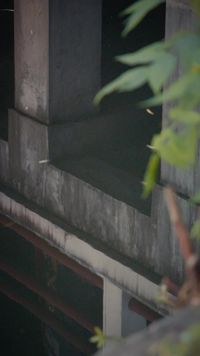 Episode 27