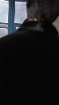 Episodio 9