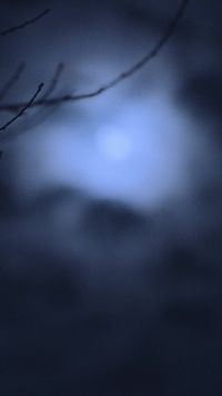 ตอนที่ 11
