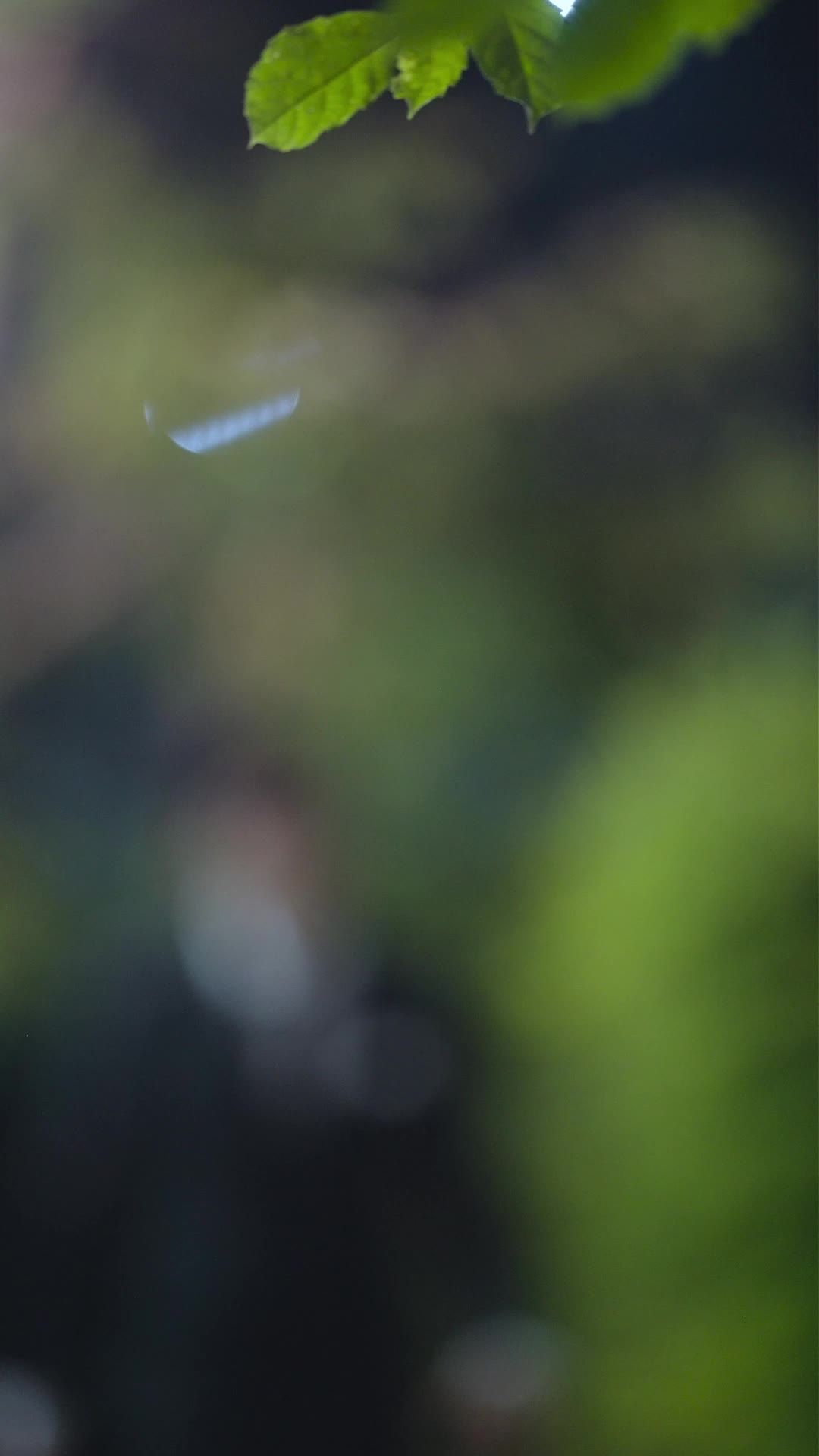 ตอนที่ 21