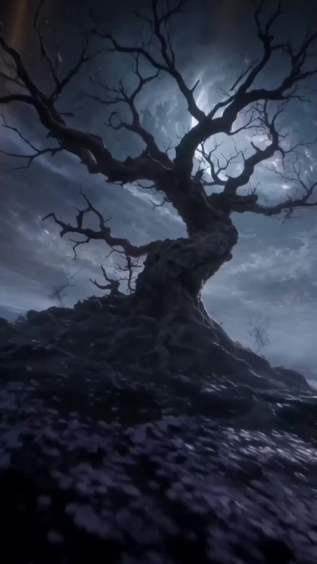 Épisode 17