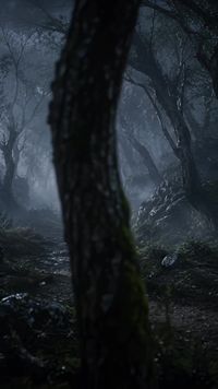 Episode 21