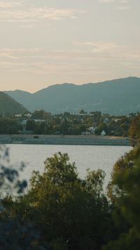 Серия 21