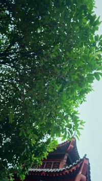 ตอนที่ 17
